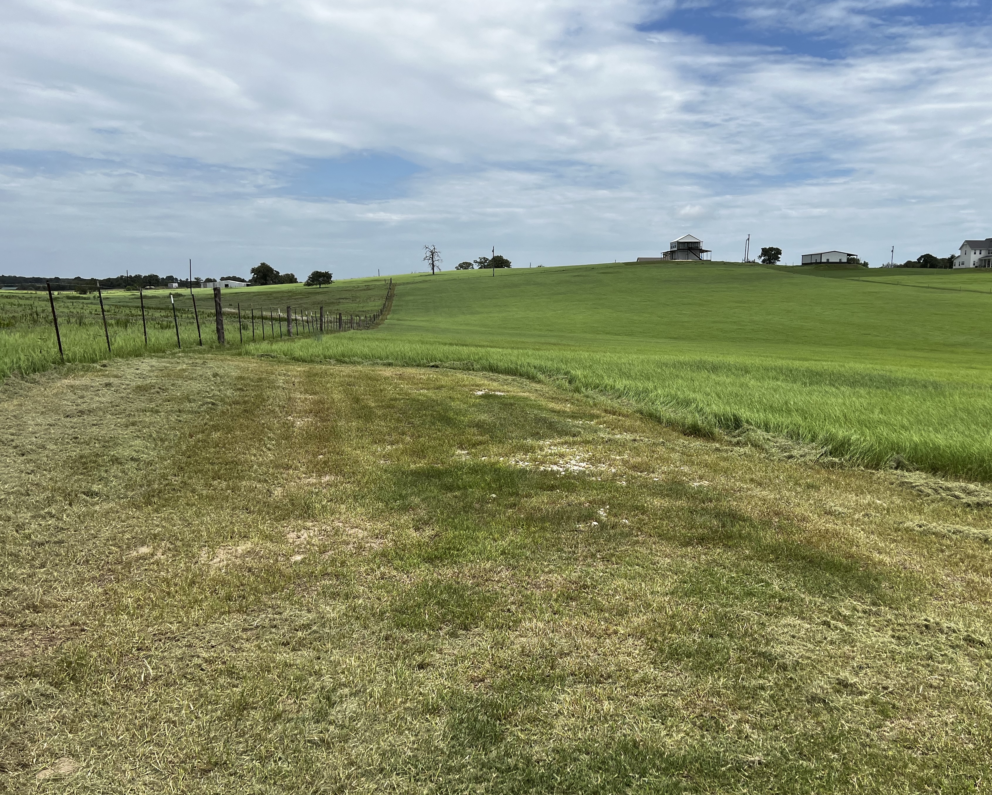 Property boundary fence line with manicured hay ground