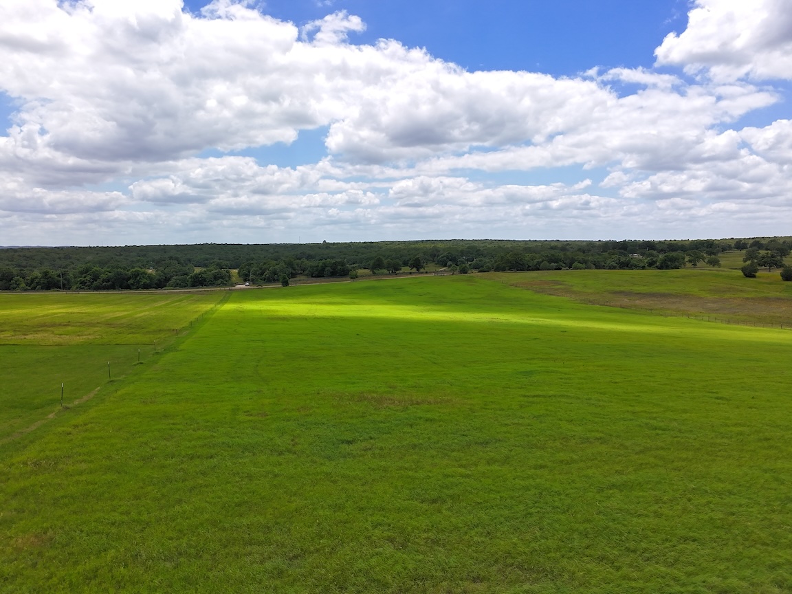 Aerial view sweeping across the lush green pasture