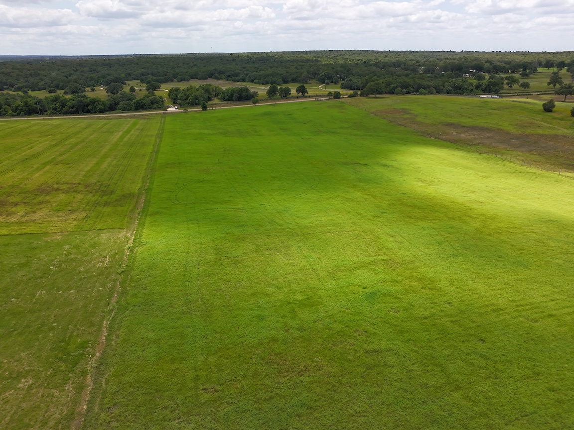 Looking down the fence line across the pasture